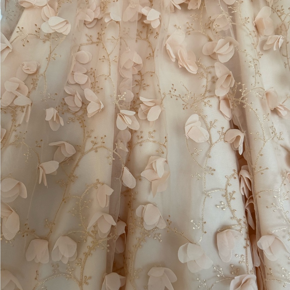 Eva Franco Blush Pink Petal-Appliqué 3D Midi Skirt - Picture 6 of 7